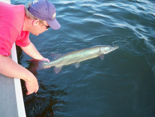 4BAFD92A-F2DE-4457-BC4A-7DC77044F4F1