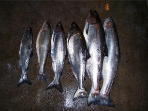 4BE48F6D-54AE-4FAF-80C9-7C95B8CA4BC9