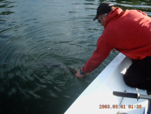 4C19D130-3661-4D92-8AC1-5C43A018C531