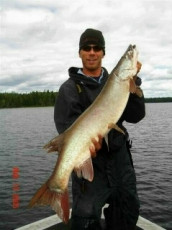 4ad1a326-f81d-4e9b-8c3b-7251572421b1