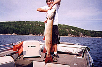 4bb8f942-d686-4757-808b-8fda873f87c9