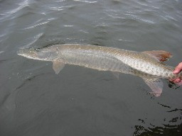 4bd86c37-7541-4948-98ea-43f86d0e9c63