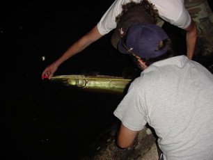 4c6f5c6e-545b-4c68-9415-a46828619c3e