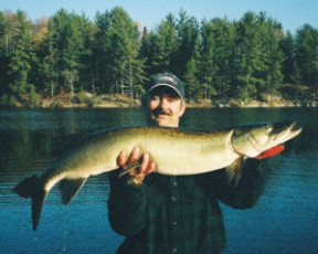 4d8a88cf-acfe-4ff6-9ebd-0be91c74d4e2