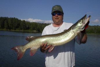 4f83da4f-766e-46d2-93a3-b9d6dca10263