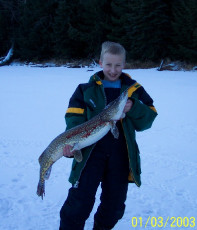 501c1253-2c76-4a06-9adf-1d7480c15bb9