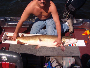 50bc53b5-0c1f-4547-ad62-d5ca7ba1b6d5