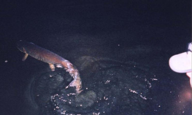 50e4923b-188c-4e02-be9c-462732c9c8af