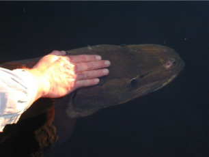 511ed0a7-f9d5-4191-91e1-b67371ea962c