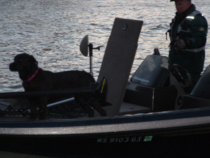 525b7c4d-370b-42a3-9ea1-bbd4bfad138a