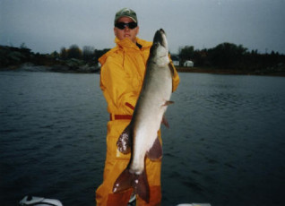 53809377-5e82-4e2a-8382-e1a4d991d6b2