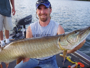 53d7156d-2045-4f52-a701-64a41c245a86