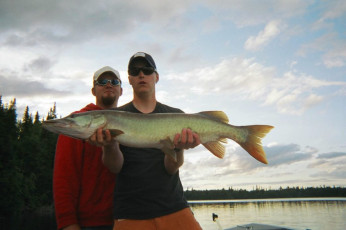 54dcda97-7a87-4cf1-8633-f53c15d331cd