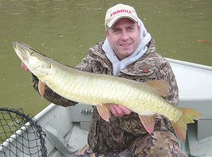 54e8275d-84c2-4fd8-805f-e7a862a45ae8