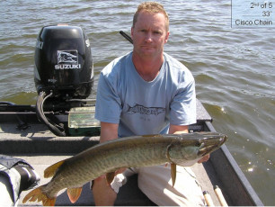 553a96e1-ea5d-4a83-aa1d-271a90e2cc24