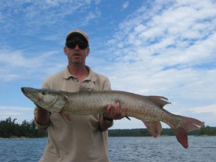 557e9b1f-f40a-40ab-813f-55055dc743a0