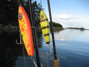 55FA6308-05A2-4C9D-B40C-03576928B978