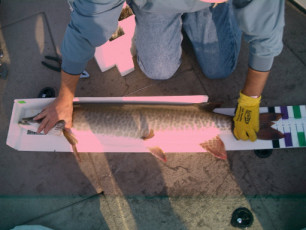 56571072-de06-4a87-ab5e-3fd00c633cae