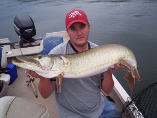 568648f2-234d-43e4-b340-c7c33a2262d1