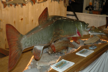 57533b73-c596-4a91-92a5-61632e77e95d