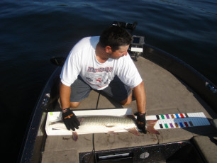 57d41542-26c3-4b6b-af79-6d59d3289530