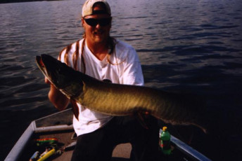 58815fad-a91b-420b-93c5-759533349fa8