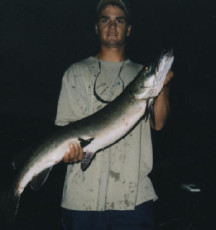 58aaa6fa-9378-4737-aaf5-df7f2e02b74c