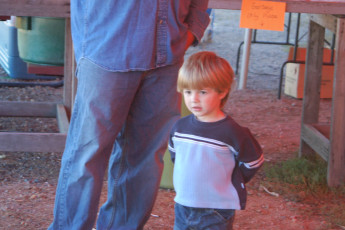 591bcd98-34b2-4e48-a25f-e9de3edae57c