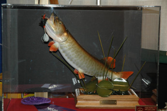 594a8090-56bb-4cf8-996c-8ce20b62fc98