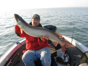 5CD1474C-3E7F-408E-8A4A-92A68D0CB24C