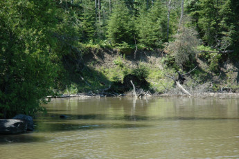 5a07b96c-e068-48cb-b0c1-d5860084f1f2