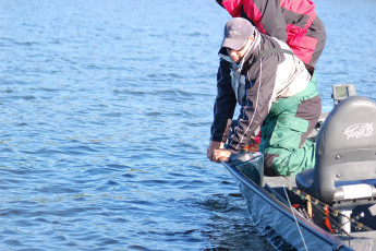 5aa71262-de67-41dc-a3bc-334dbbf645ba