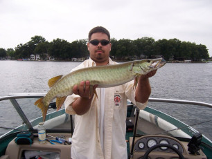 5b77b0a7-91ad-4811-b192-6ea5e6169b7d