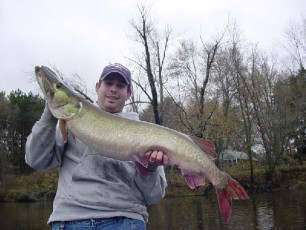 5c63929d-60b4-4c6f-9770-66b7b8fa48b8