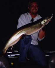 5c908b0b-52d5-40f3-b508-dd071d7de760