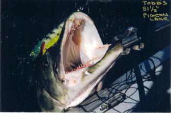 5e31698e-7ab4-4918-adf1-9c626fde1433