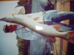 6033b641-74f4-4a4d-a575-41ccb517a8c7