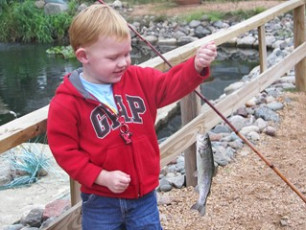 603fd7c7-9269-46b1-878e-6da5b035c607