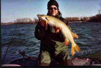 61b62e02-0104-4e5c-aec3-d3c561c448a4