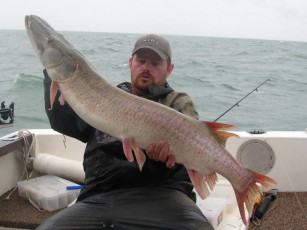 626fc580-e8cb-4086-8386-4fa02a4f6535