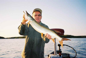 646ce217-1134-4971-8bae-cce8cb169b02