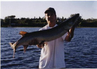 64e00545-faf1-4ea6-a57c-b310bdd64761