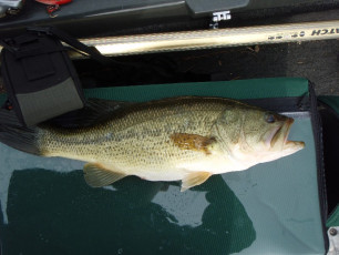 65666532-0FC7-4DD0-95BE-1D1E74A7C110