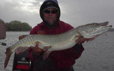 65826c49-51ff-4728-937f-cf56e2f1aea5