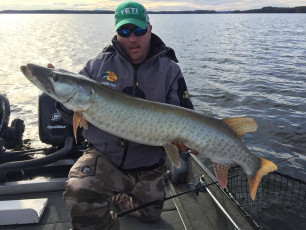 65B18C31-7EA0-4D13-9892-F792C27BF6FB