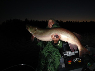 6642efca-acab-46a8-9505-37114c116457