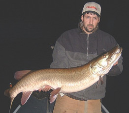 67bbf13e-370c-483b-bdc5-f17bacfc57be