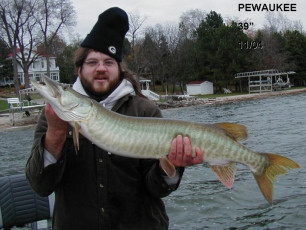 67f669f0-b38b-48f7-8c49-01e0e19f27e1