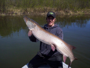 6868fe20-3559-4e3d-aac6-83836a86d6cc