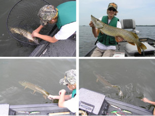 6a1f6fb6-dd45-4151-961a-8dae70f1cc0b